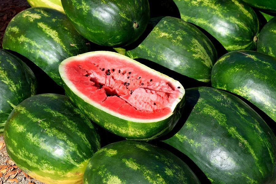 Melone Beauty Food