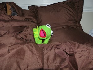 Kermit im Bett