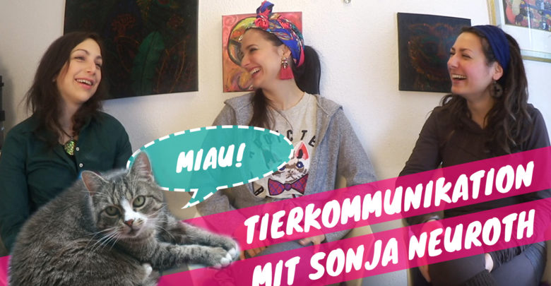 Tierkommunikation Katze, Sonja Neuroth, Klaudija Paunovic, Ariana